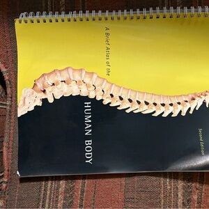 Human Body Atlas Spiral Book